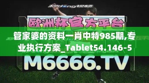 管家婆的资料一肖中特985期,专业执行方案_Tablet54.146-5