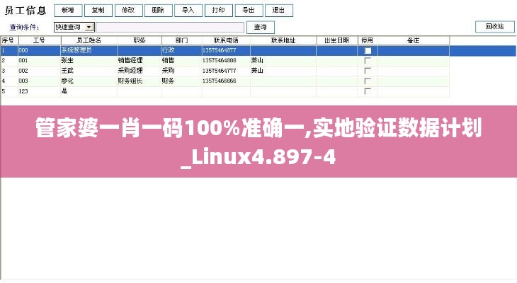 管家婆一肖一码100%准确一,实地验证数据计划_Linux4.897-4