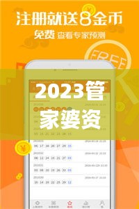 2023管家婆资料正版大全澳门,实用性执行策略讲解_soft31.141-4