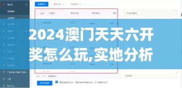 2024澳门天天六开奖怎么玩,实地分析数据计划_完整版24.501-9