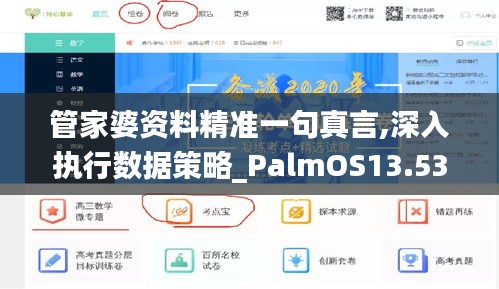 管家婆资料精准一句真言,深入执行数据策略_PalmOS13.534-3