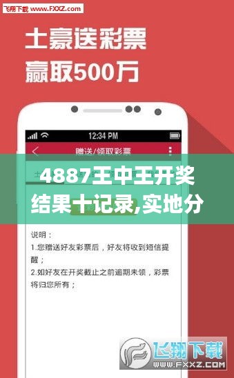 4887王中王开奖结果十记录,实地分析数据执行_安卓版97.928-6