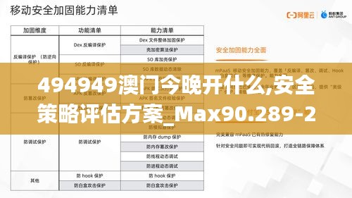 494949澳门今晚开什么,安全策略评估方案_Max90.289-2