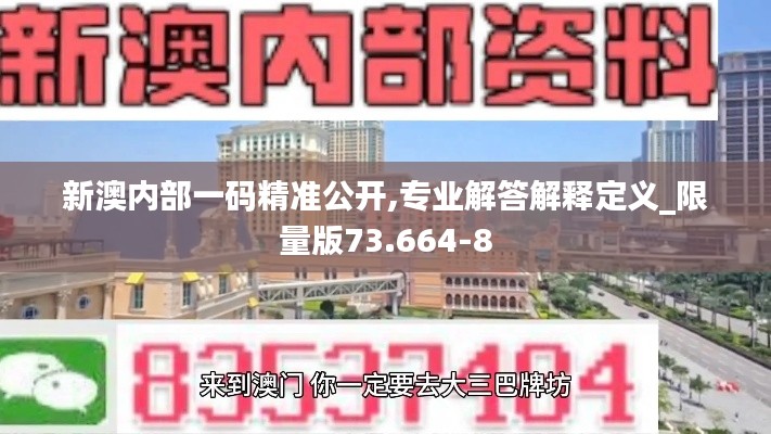 新澳内部一码精准公开,专业解答解释定义_限量版73.664-8