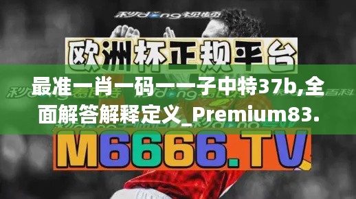 最准一肖一码一一子中特37b,全面解答解释定义_Premium83.916-8