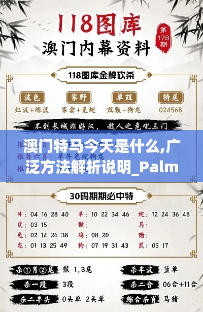 澳门特马今天是什么,广泛方法解析说明_PalmOS88.229-4