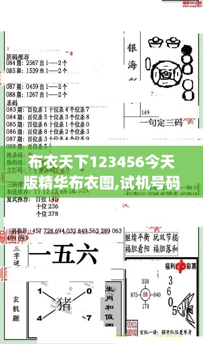 布衣天下123456今天版精华布衣图,试机号码,预测分析说明_ios39.706-6