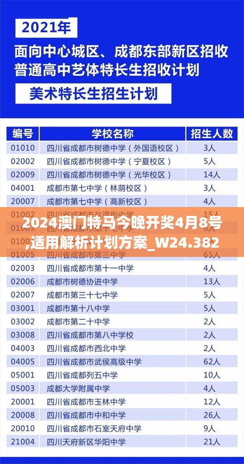 2024澳门特马今晚开奖4月8号,适用解析计划方案_W24.382-1