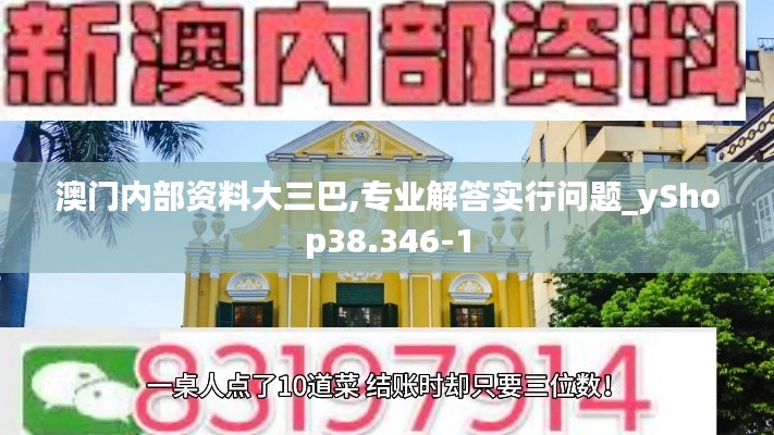 澳门内部资料大三巴,专业解答实行问题_yShop38.346-1