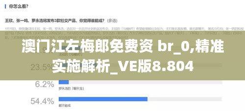 澳门江左梅郎免费资 br_0,精准实施解析_VE版8.804